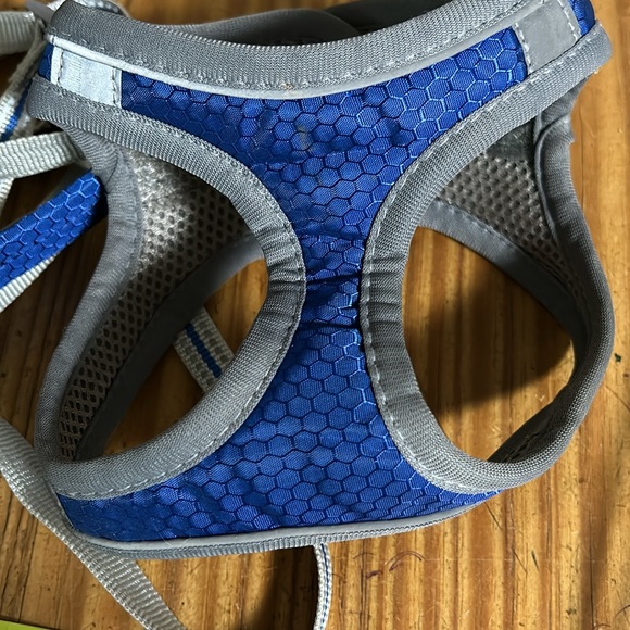 Small Dog Collection - Picture 6 of 11